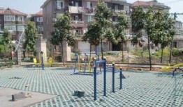 五常街道爆料视频,揭秘社区生活点滴